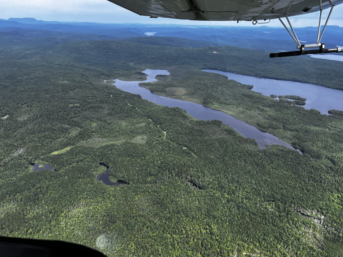 lighthawk_org's tweet image. 🛩️ Flight 36 of our #50in50Challenge flew over Maine’s legendary 100-Mile Wilderness.

With @Appalachian_Trail, we gathered aerial video to help monitor corridor conditions—saving time, resources &amp;amp; supporting long-term trail stewardship.

#LightHawk #ConservationInFlight #ATC