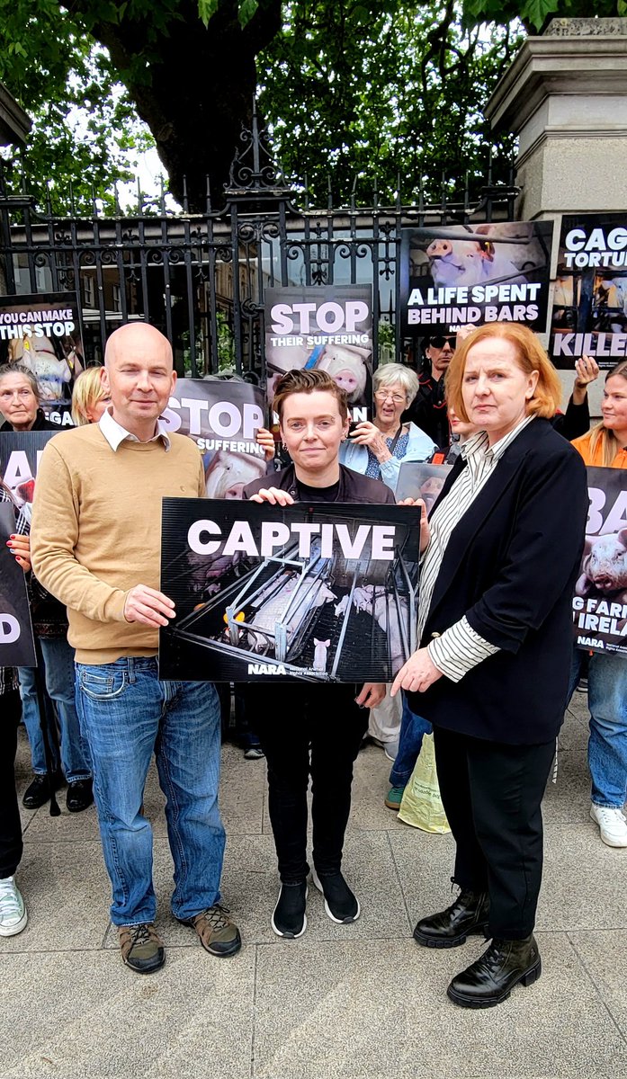 SAFRIreland (@safrireland) on Twitter photo Want to give a massive shout out to Paul Murphy, <a href="/RuthCoppingerSP/">Ruth Coppinger</a> and Laura Broxson as <a href="/paulmurphy_TD/">Paul Murphy 🇵🇸</a> introduced a Bill to Ban Pig Farming today, which happens to be <a href="/NARACampaigns/">NARA Campaigns</a> 18th Anniversary! SAFRIreland are looking forward to fully supporting this campaign 💯 Want to give a massive shout out to Paul Murphy, <a href="/RuthCoppingerSP/">Ruth Coppinger</a> and Laura Broxson as <a href="/paulmurphy_TD/">Paul Murphy 🇵🇸</a> introduced a Bill to Ban Pig Farming today, which happens to be <a href="/NARACampaigns/">NARA Campaigns</a> 18th Anniversary! SAFRIreland are looking forward to fully supporting this campaign 💯