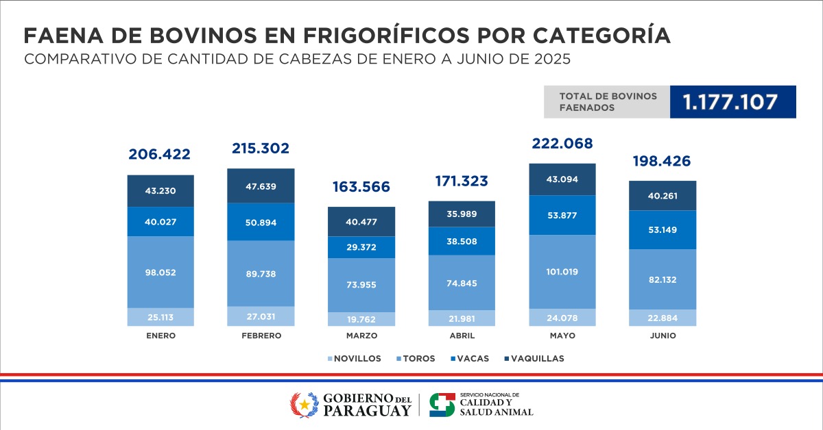Estadísticas l Faena de bovinos en Frigoríficos por categoría