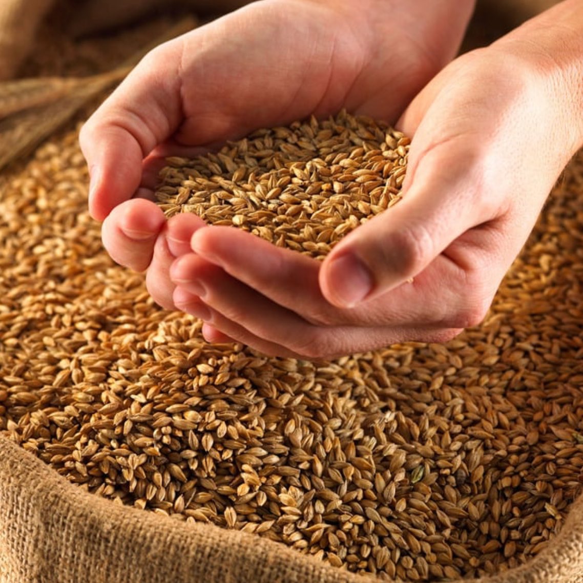 444 Vâkıa Suresi okuduk. Duasını Kabe'de yapacağız.

Maddi sıkıntı çekenler adını yazsın yada nokta koysun. Duamıza katalım.

Gönderiyi paylaşalım.