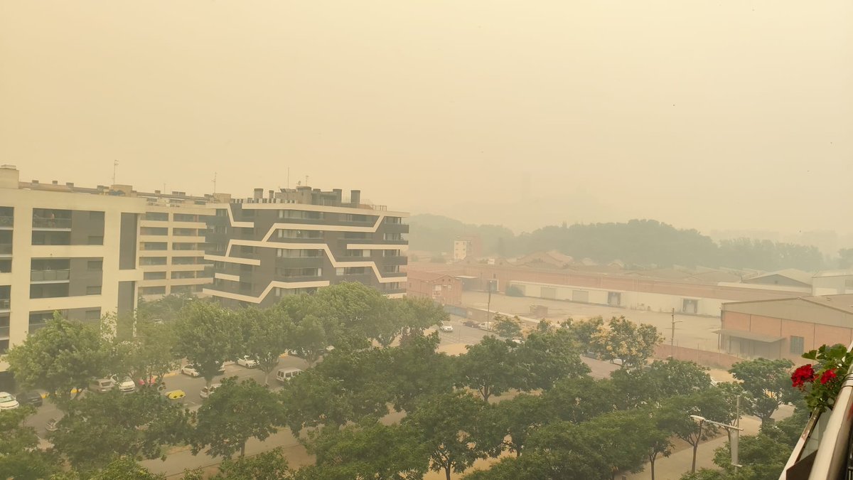 rogersegura87's tweet image. Lleida coberta de fum i cendra, segurament de l'incendi de la Segarra #IVFlorejacs. Ventada molt intensa!