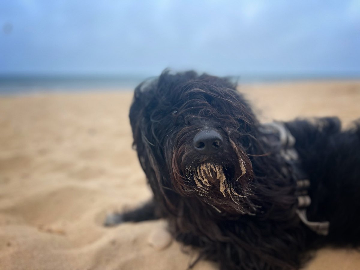 North Sea Sid. In trepidation of the Welfare Reform vote.