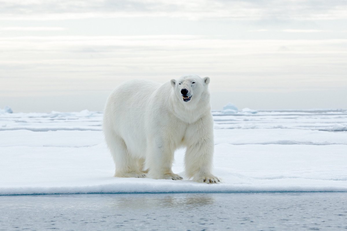 Journeysmiths tweet media