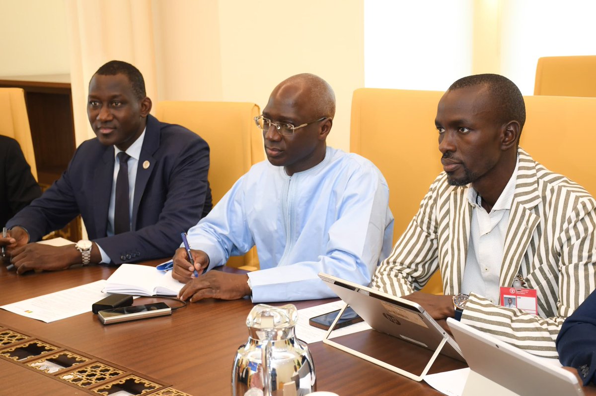 🇸🇳 Seck Modou Gueye 🇸🇳 tweet media