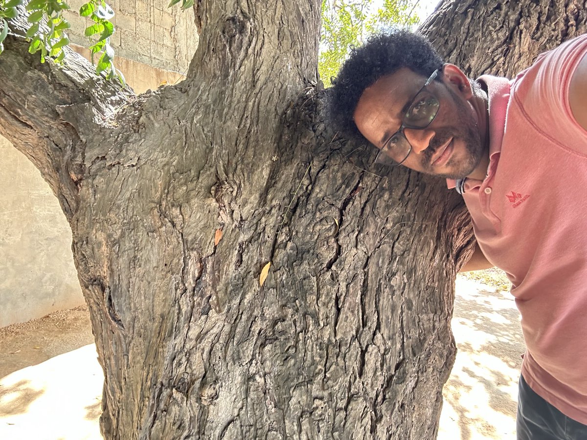 Dhirta ha jarina Somaaliyeey.