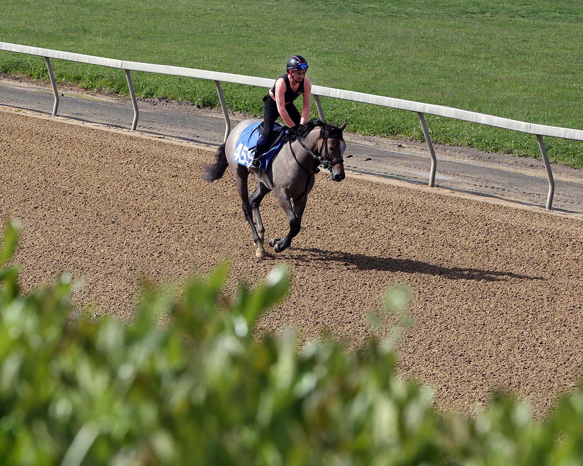 Fasig-Tipton announced today that it will implement changes to the format of the under tack show at next year’s Midlantic May Two-Year-Olds in Training Sale. These changes, centered around eliminating timed workouts and restricting whip use, are designed to better reflect the