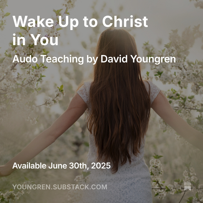 DavidYoungren's tweet photo. Conditioned by culture, fear, shame, and limiting beliefs, we forget who we are: radiant expressions of divine love, one with God, created to soar.

https://t.co/QudZYeNYwd

#SpiritualAwakening
#FaithBeyondReligion
#MysticalChristianity
#AwakenedLife https://t.co/jwYN0CnH1n