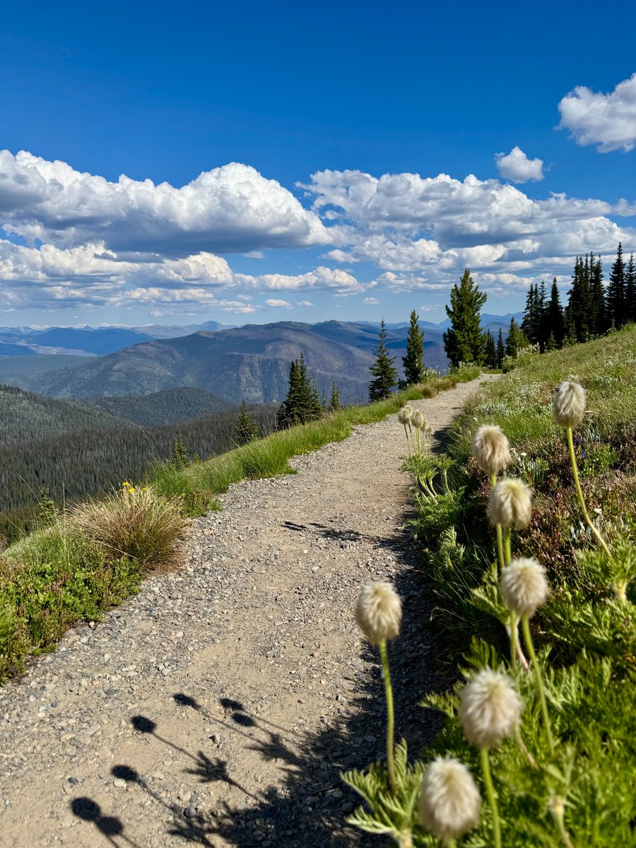Manning Park Resort tweet media