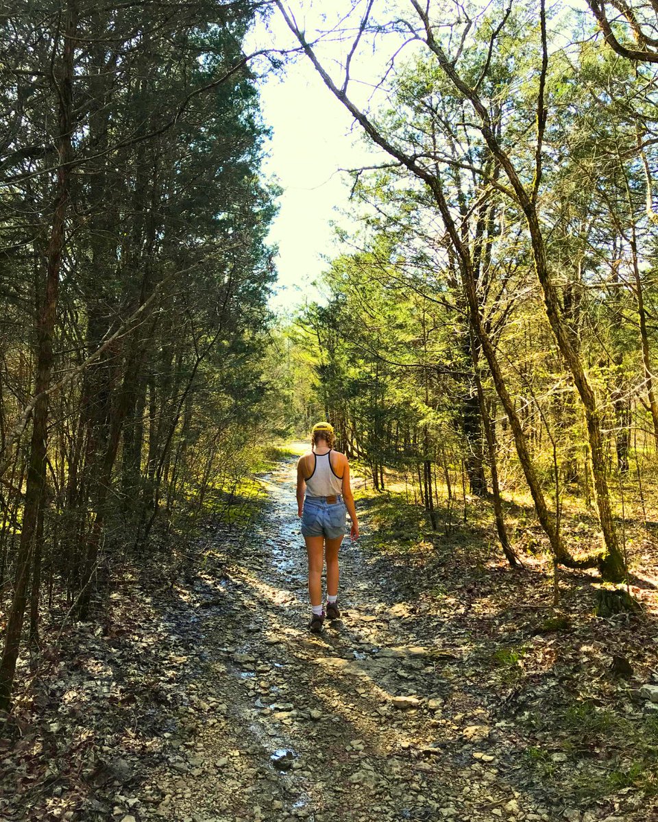 experiencemaury's tweet image. 🌅 Explore the great outdoors in Maury County at Cheeks Bend Bluff!🌲

This beautiful trail winds thru lush woods &amp;amp; creeks, offering stunning views of the Duck River from the bluff's edge. Don’t miss the hidden cave systems along the way—perfect for adventurers! 
#ExperienceMaury