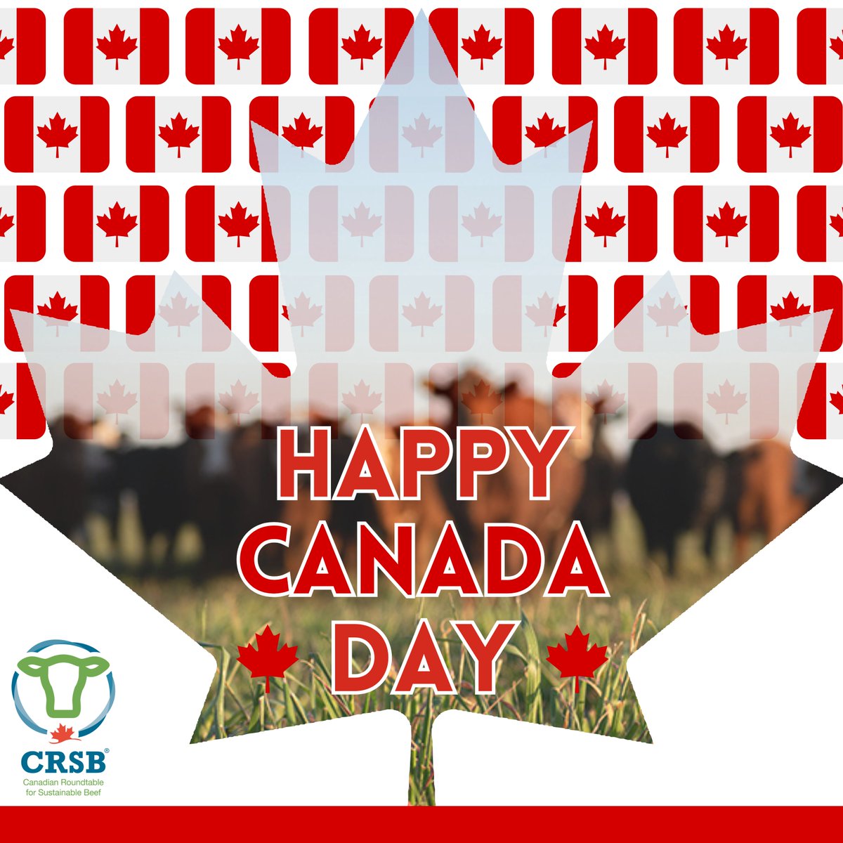 CRSB_beef's tweet image. Happy Canada Day!