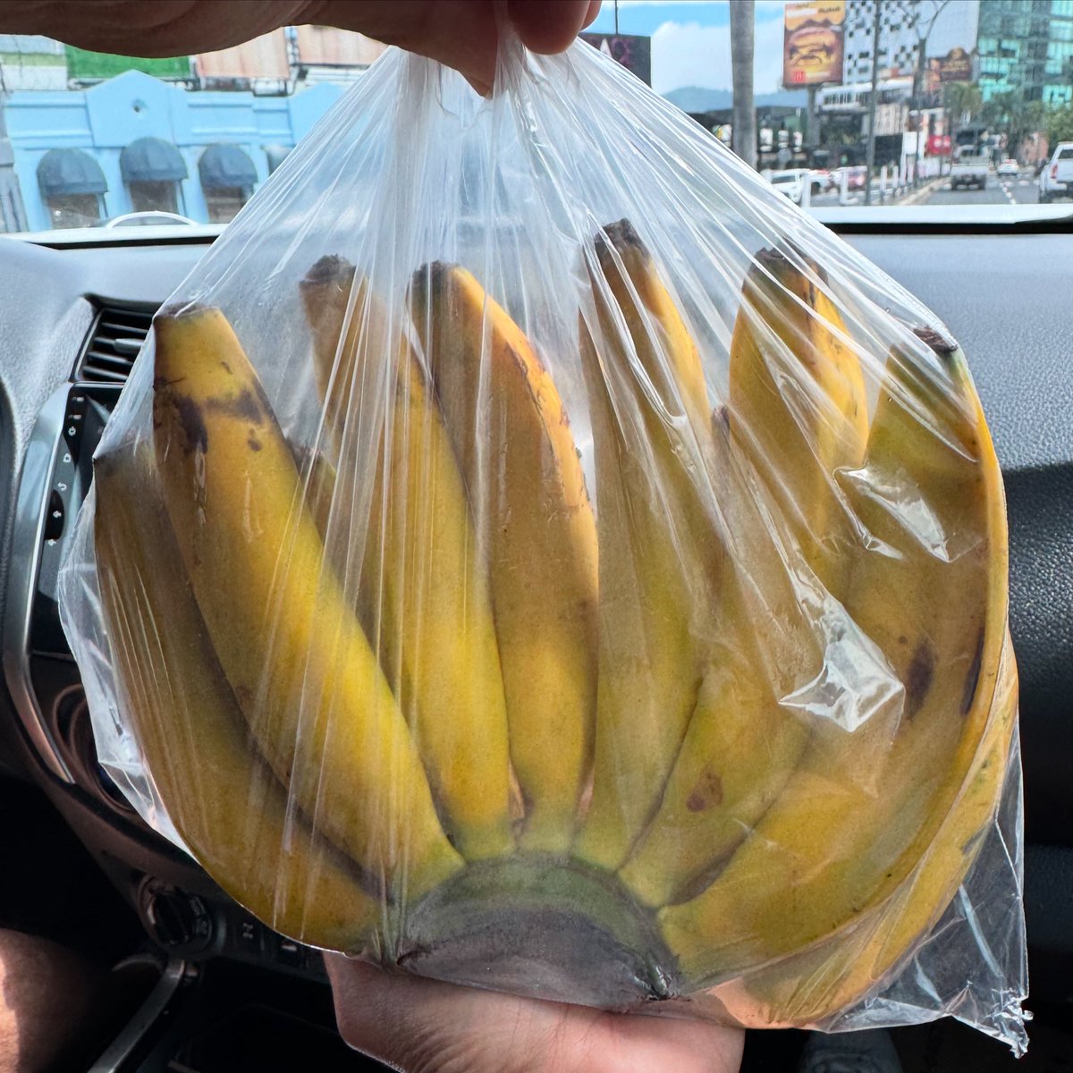 esadvisor's tweet image. 🍌🍌🍌Breakfast of champions 😍😁🍌💪🏼
We paid $1 for this bundle of bananas!!
✨Still wondering if El Salvador 🇸🇻 is the place for you and your family? It’s more affordable than you think ✨
#ElSalvador #RelocationServices #BusinessRelocation #FamilyFriendly #Bitcoin
✨DM…