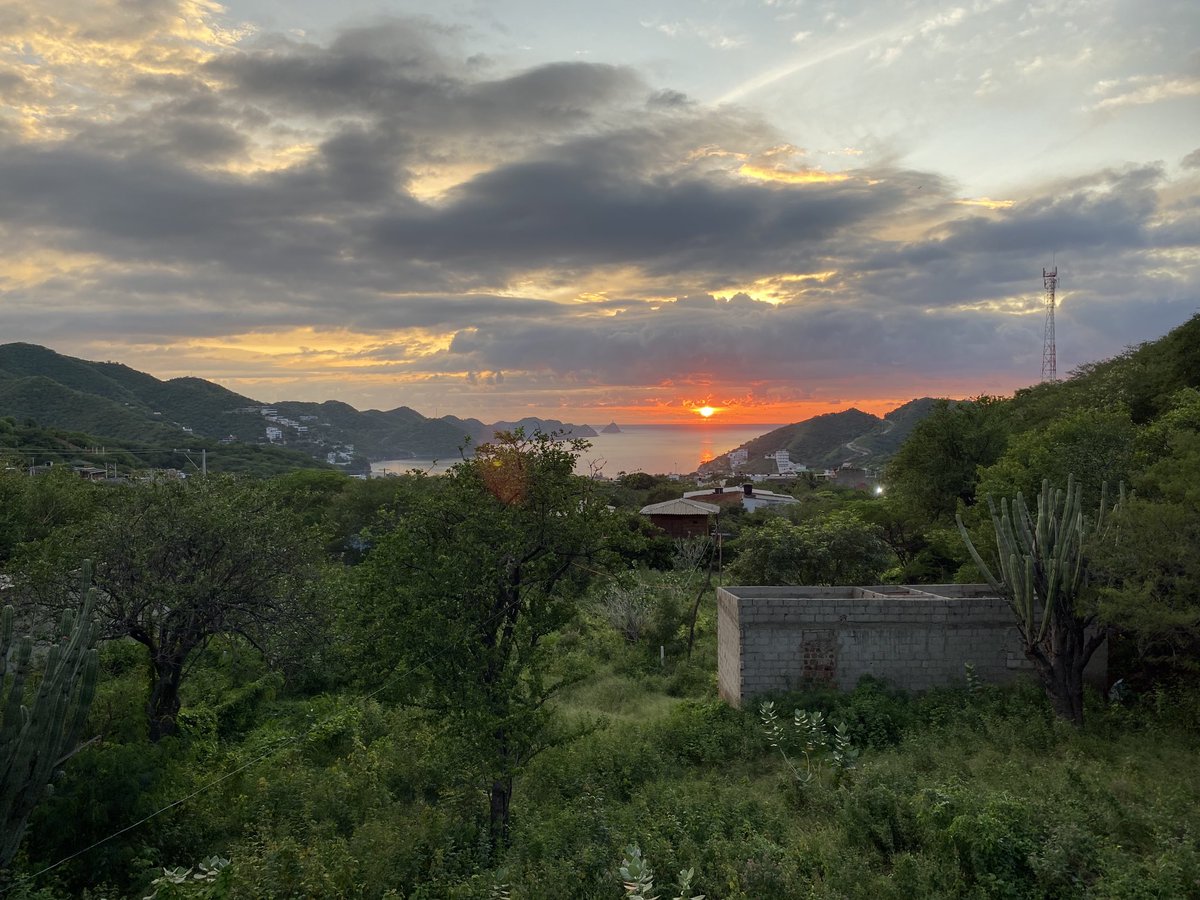 Santiago Granada (@santiag86873228) on Twitter photo 