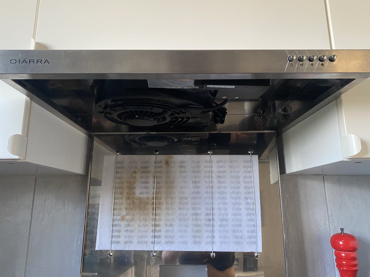 Petit Printemps (she/her) tweet media