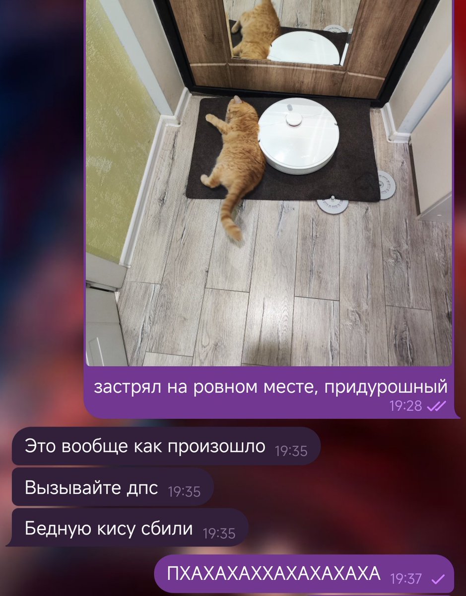 произошло ДТП