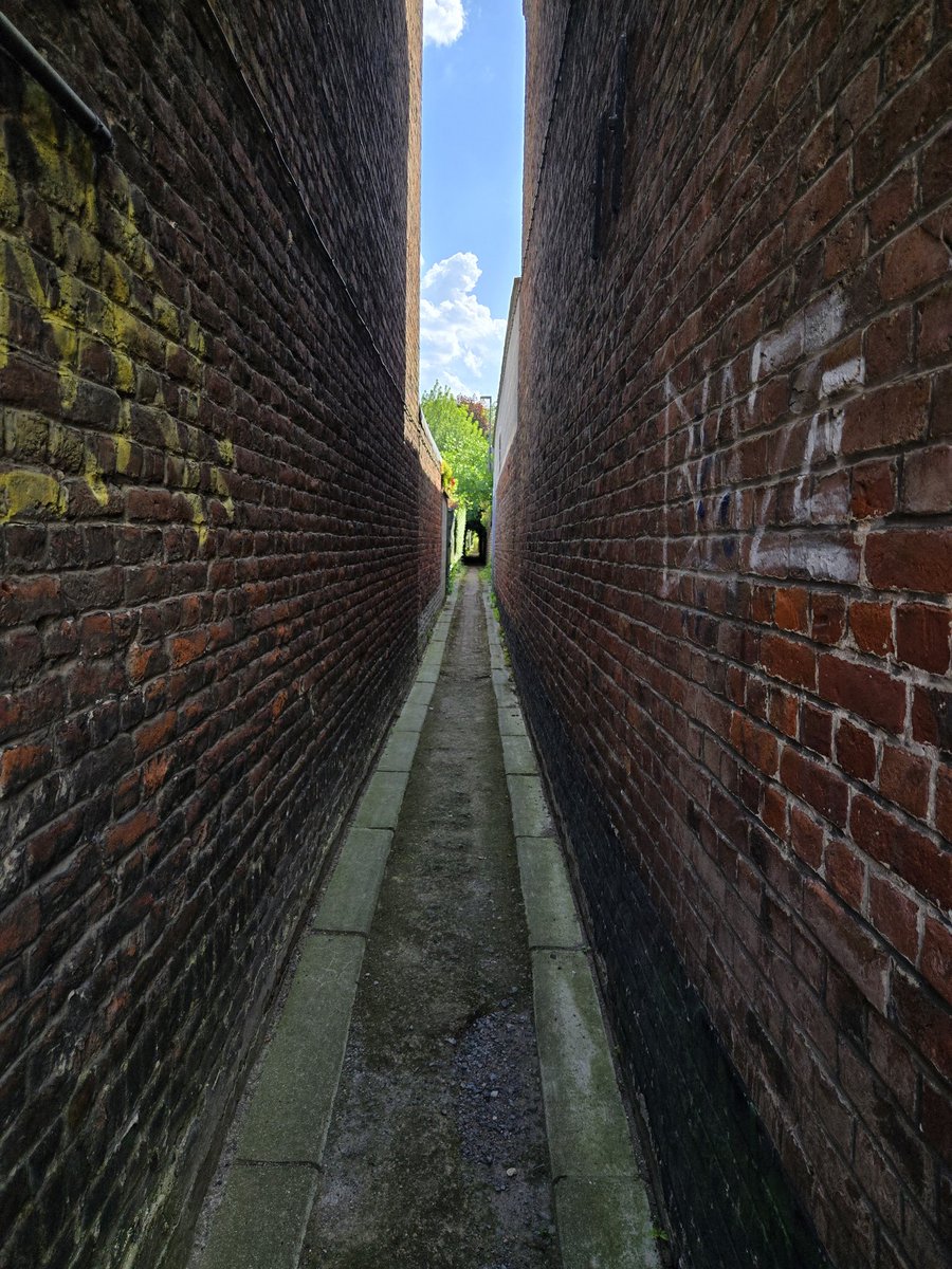 Rare trip without bike but still "for" cycling ➡️ Science &amp; Cycling conference in Lille

#sciencecycling