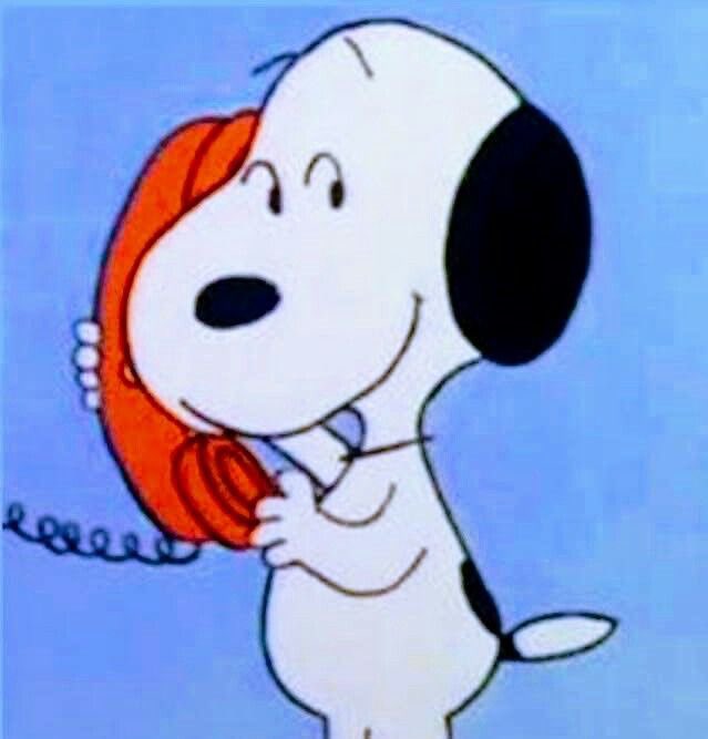 snoopy lover (@snoopyfever_) on Twitter photo 