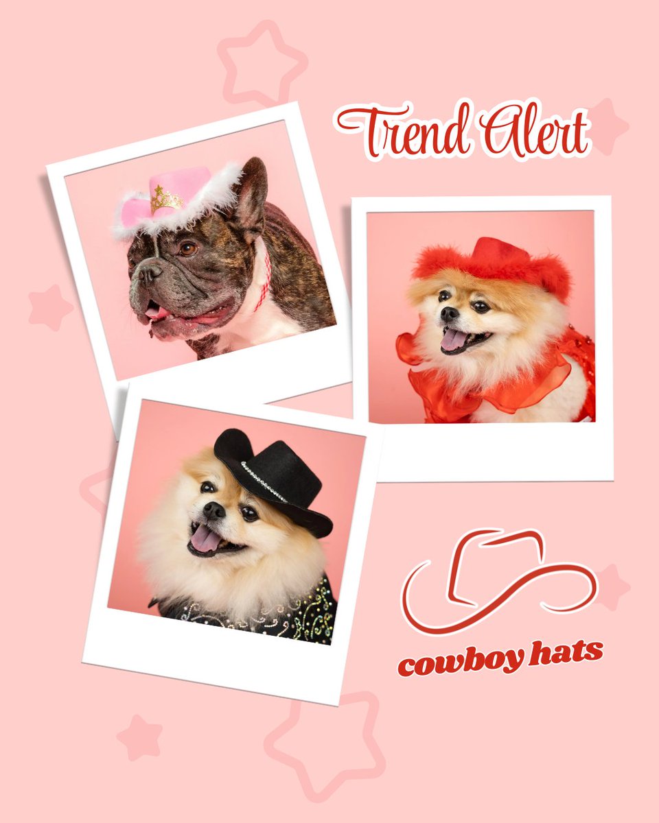 Doggy Parton tweet media