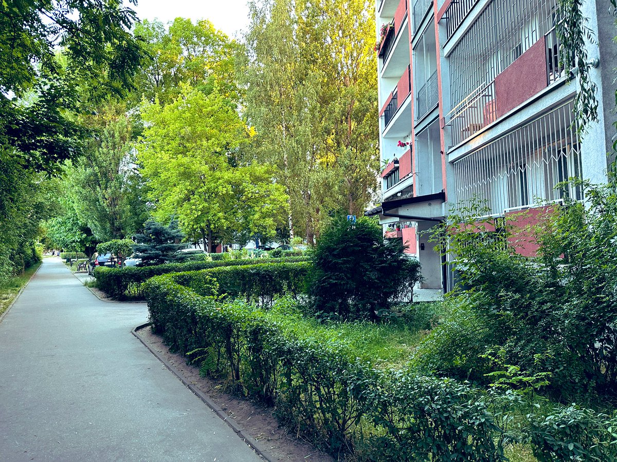 millusinsky II najmilsza osoba na świecie tweet media