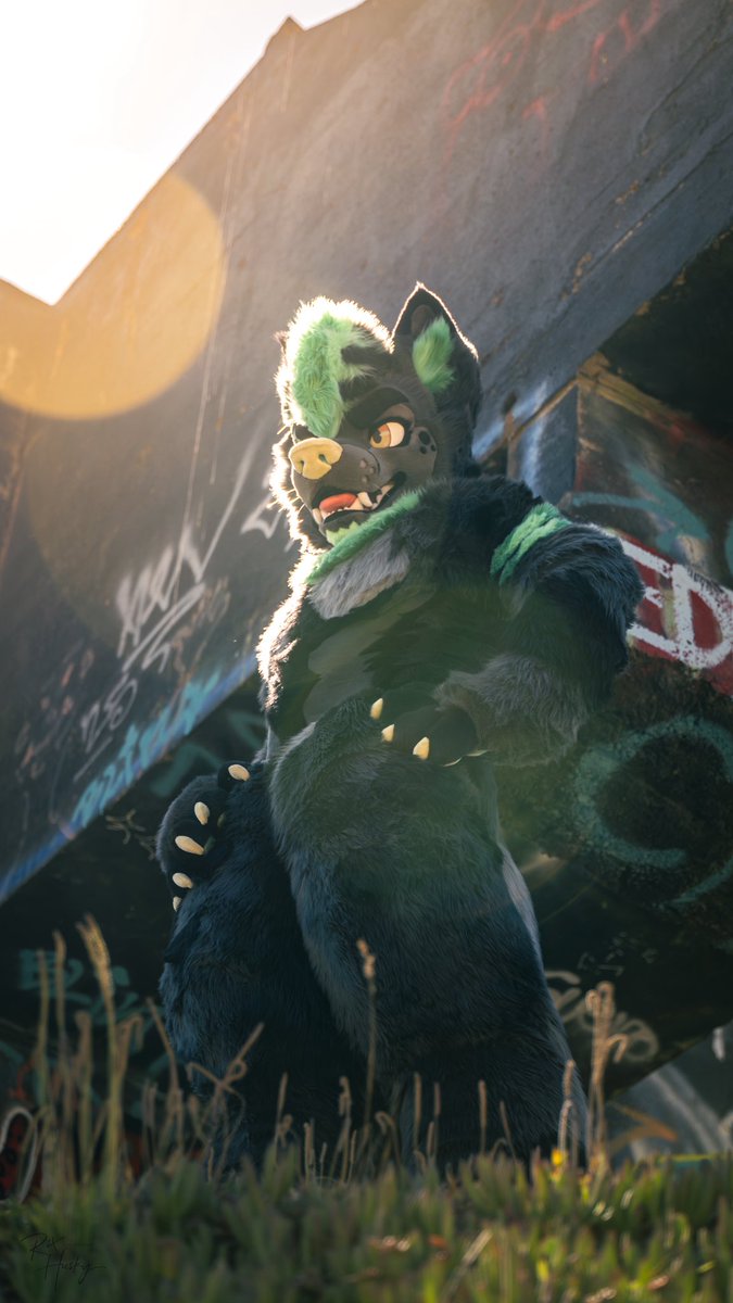 Big brother is always watching

🐺: <a href="/RykerHusky/">RykerHusky/Kureno</a>