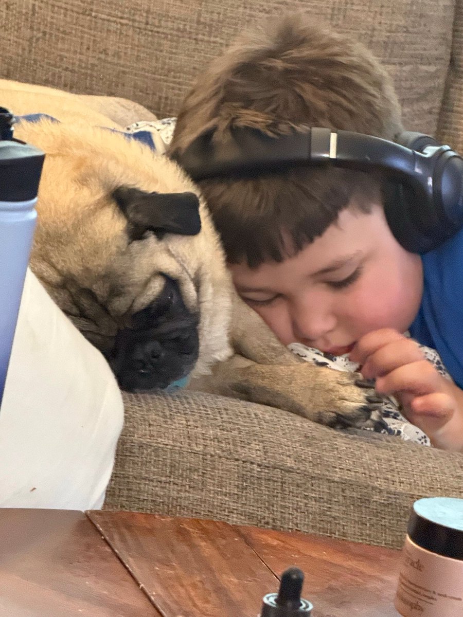 Please help other pugs get a second chance by voting