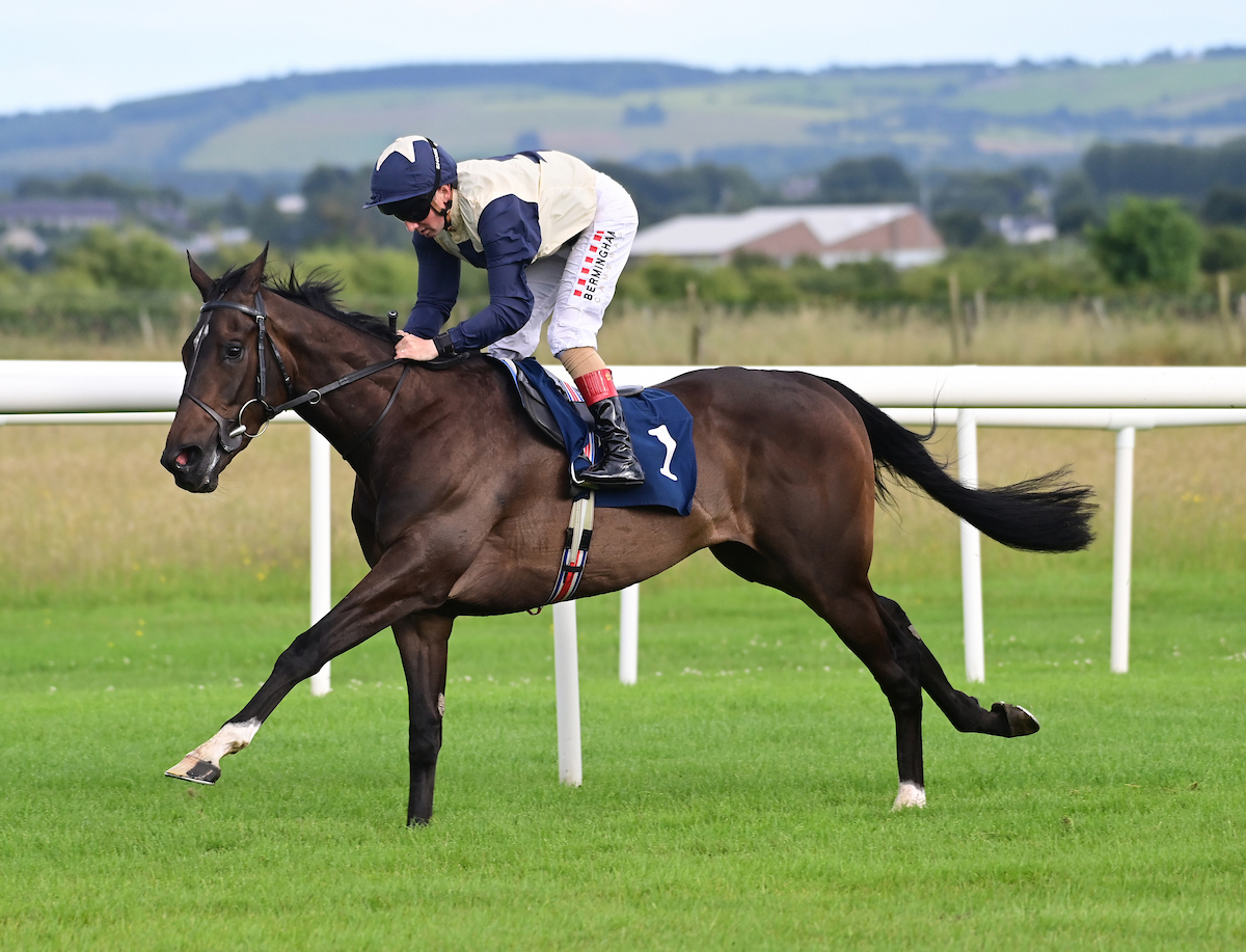 Roscommon Racecourse (@roscommonraces) on Twitter photo Race 4, The Conor Cassidy Car Sales Handicap is won by Starford and Chris Hayes for trainer <a href="/JosephOBrien2/">Joseph O'Brien</a> . Starford was a 1000th Irish winner for jockey <a href="/chrishayes24/">Chris Hayes</a> and also makes it a double on the evening for Chris. 🥳🥇
📸 - Healy Racing.
#irishracing #visitroscommon Race 4, The Conor Cassidy Car Sales Handicap is won by Starford and Chris Hayes for trainer <a href="/JosephOBrien2/">Joseph O'Brien</a> . Starford was a 1000th Irish winner for jockey <a href="/chrishayes24/">Chris Hayes</a> and also makes it a double on the evening for Chris. 🥳🥇
📸 - Healy Racing.
#irishracing #visitroscommon