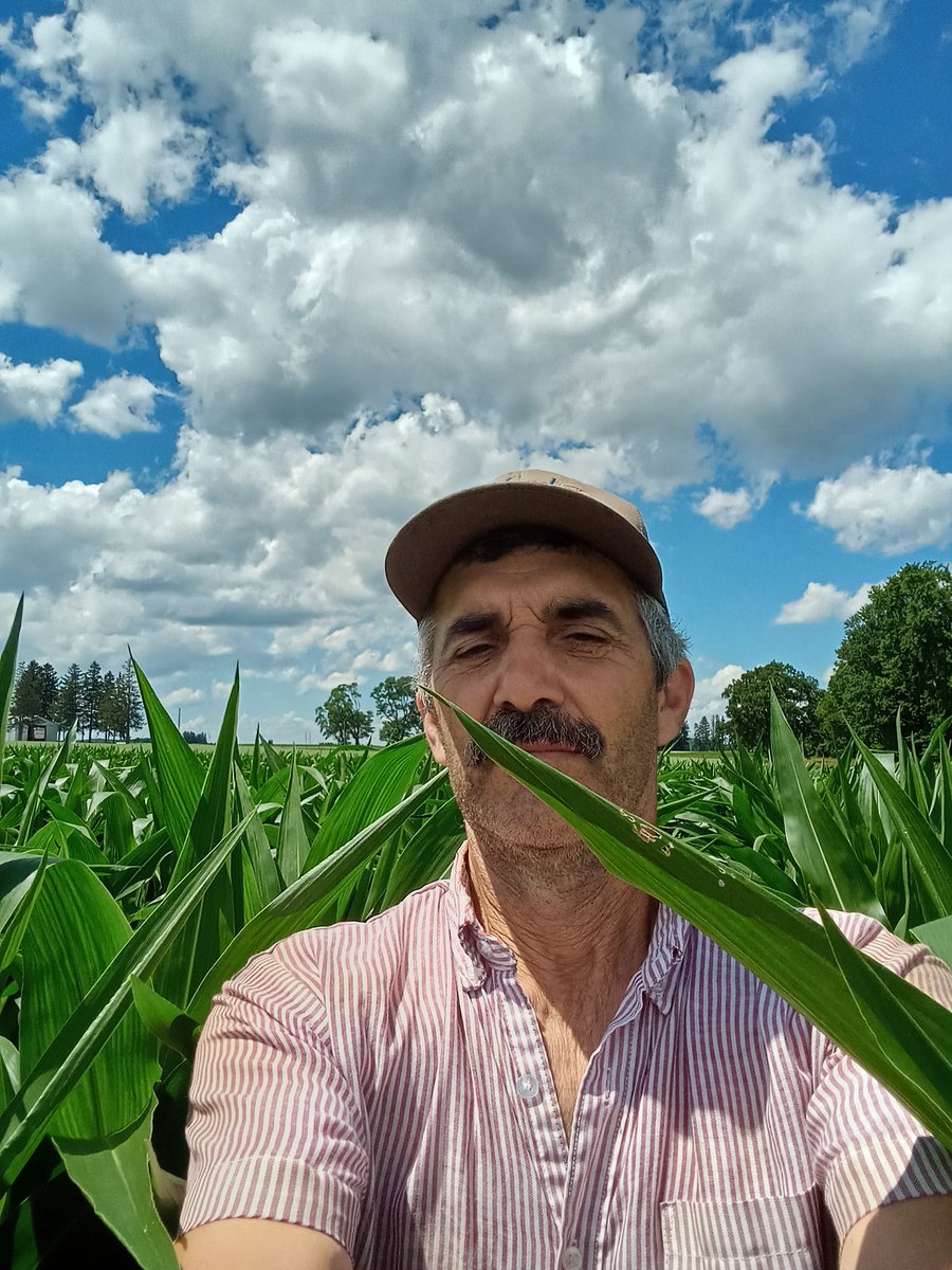 OBaigent's tweet image. Happy Canada Day