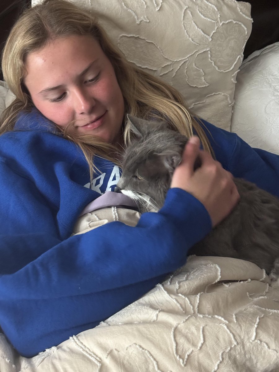 PawBoost tweet media