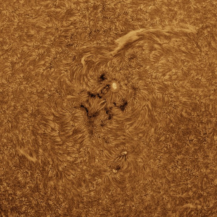 MBerto7's tweet image. Sesión solar de hoy (01-07-2025)
- Imágenes del limbo oeste con dos grandes prominencias.
- AR4122
- Animación solar (07:24 - 08:01UT)

Explore Scientific 127mm f7.5 carbon
Long Perng 80 f6.25
Daystar Quark chromosphere 
P One Apollo-M Mini
P One ERF S-Series
Svbony UV IR cut