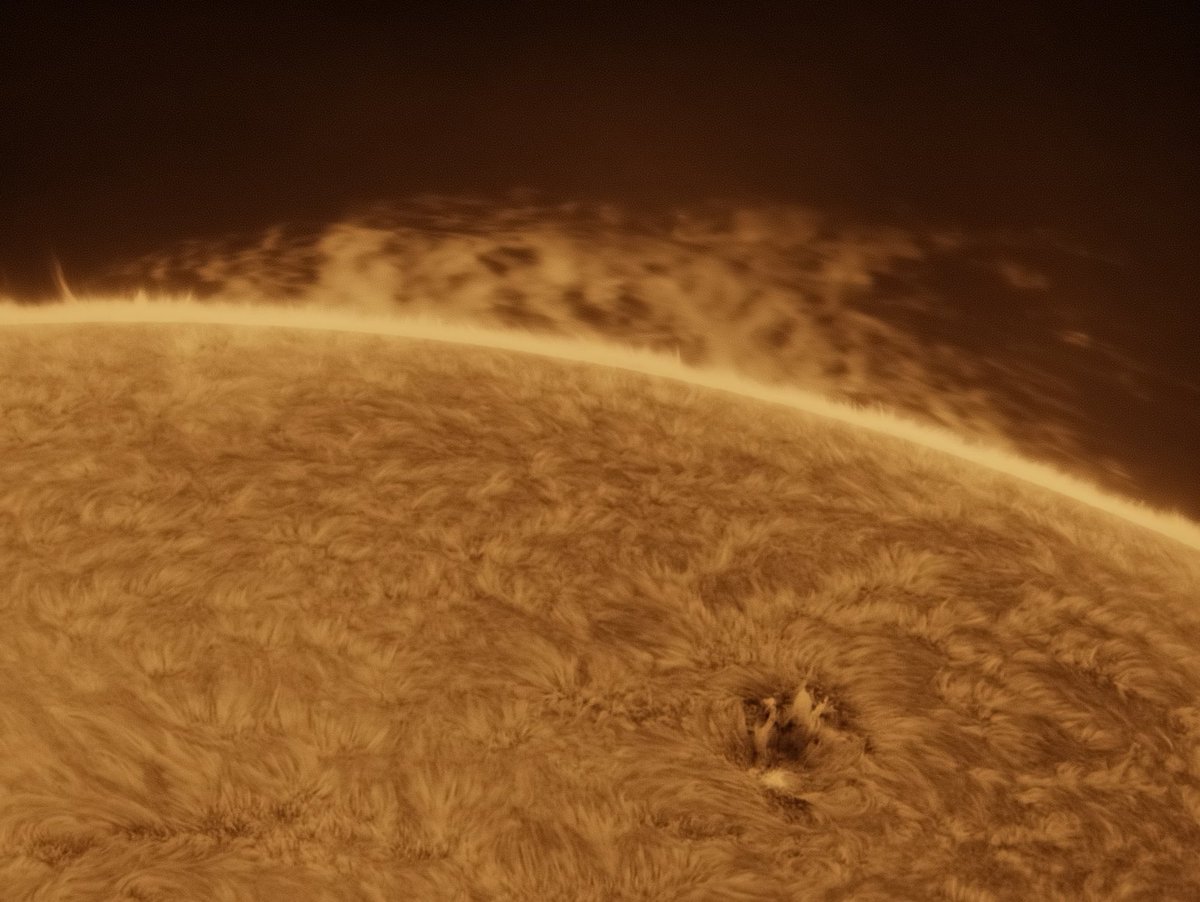 MBerto7's tweet image. Sesión solar de hoy (01-07-2025)
- Imágenes del limbo oeste con dos grandes prominencias.
- AR4122
- Animación solar (07:24 - 08:01UT)

Explore Scientific 127mm f7.5 carbon
Long Perng 80 f6.25
Daystar Quark chromosphere 
P One Apollo-M Mini
P One ERF S-Series
Svbony UV IR cut