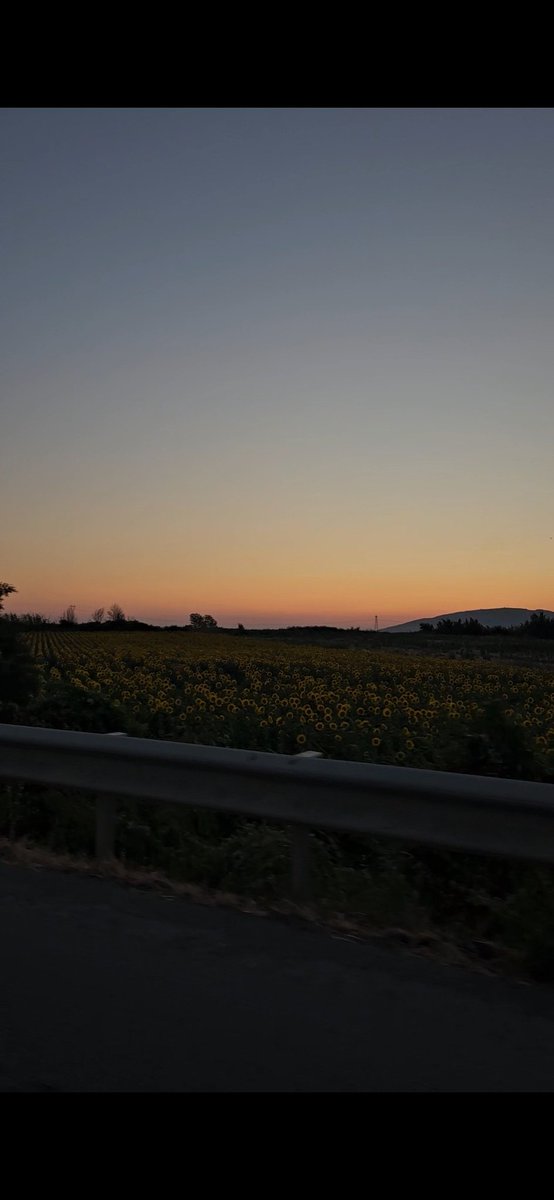 Günbatımı ve ayçiçeği💛💛💛