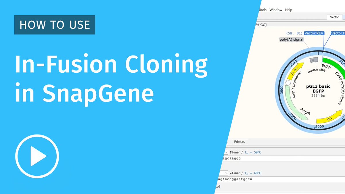 SnapGene tweet media