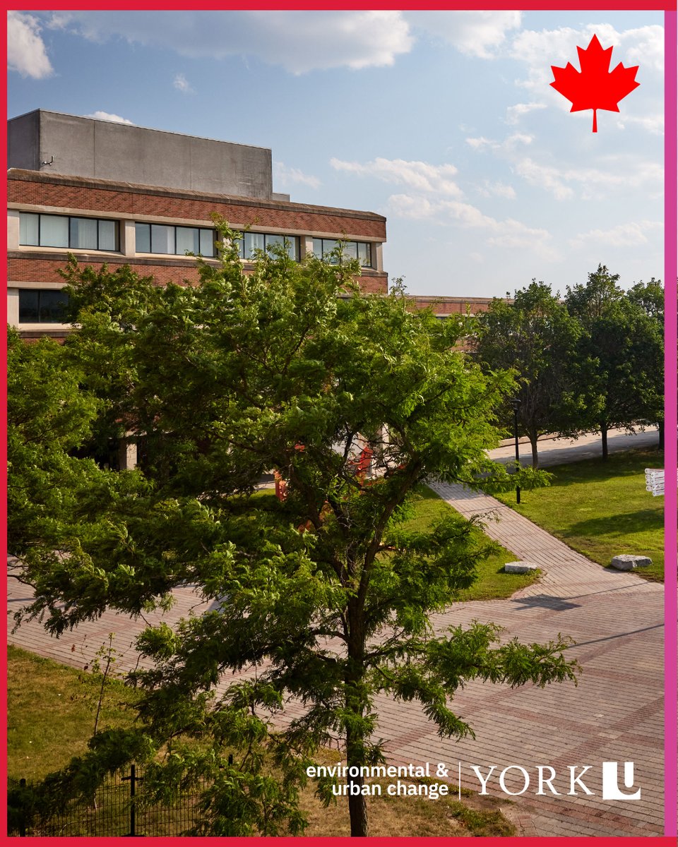 In celebration of Canada Day, we are excited to highlight our QS Rankings! 📣 Our Geography program at York University is ranked #2 in Ontario, #4 in Canada, and among the top 100-150 in the world! 

Learn more 🔗 | bit.ly/4iSXDuz.

#QSRanking #YorkU