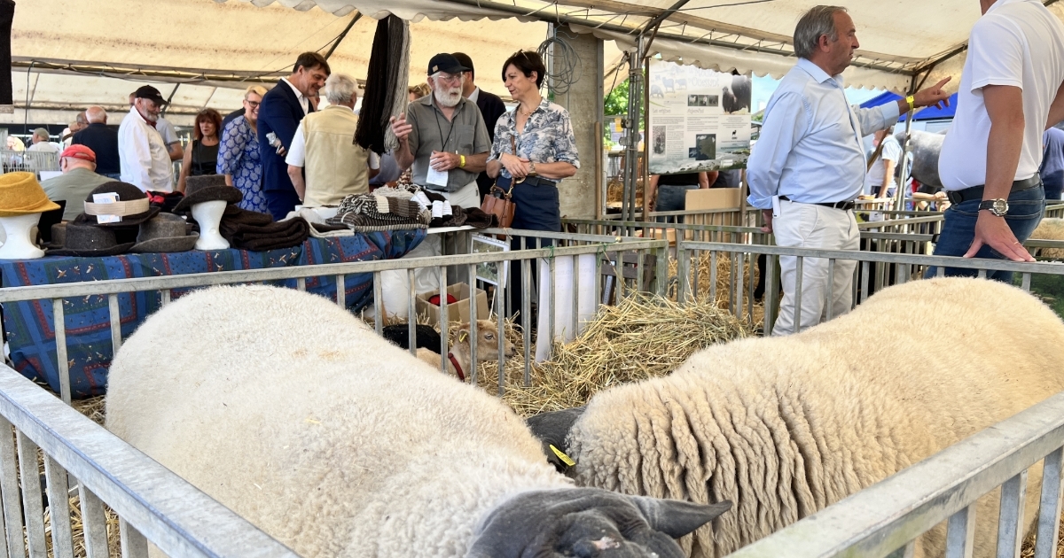 lamayenne's tweet photo. [#AGRICULTURE] 🐄 CIMA 53 : le temps fort agricole en Mayenne revient du 18 au 20 juillet 2025 à Mayenne. Le Département de la Mayenne y tiendra un stand commun avec la Chambre d’Agriculture  👉 https://t.co/LIIAZ8Fr5D  
@ChambreMayenne https://t.co/dUknbuMiNt