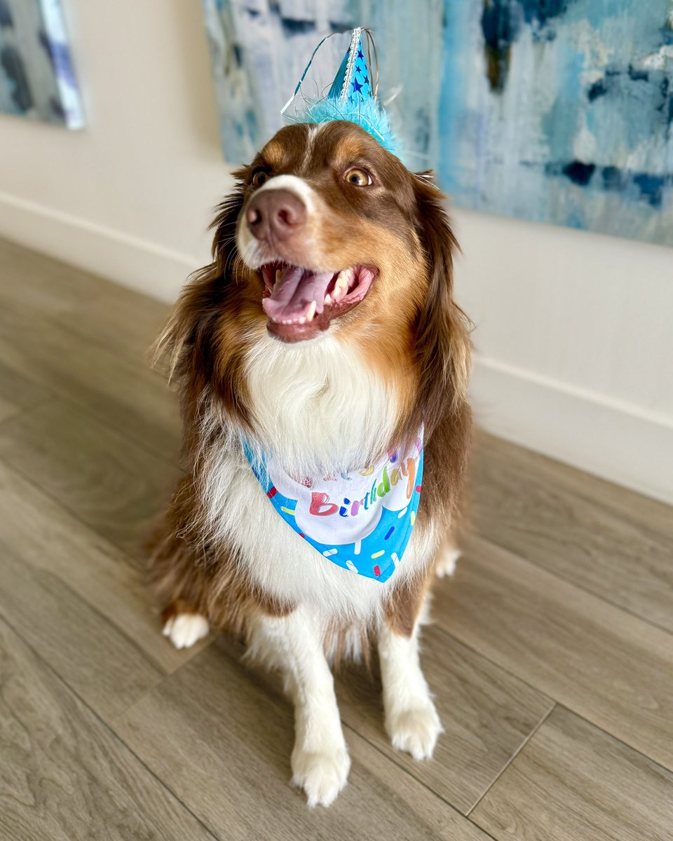 Magic 92.5 (@magic925) on Twitter photo For the jolliest little fellow around… Beckett turns 4 today! 🐾🥳
Happy birthday to <a href="/jaggerandkristi/">Jagger and Kristi</a>’s favorite furry guy — and thanks for being a good sport and keeping your birthday hat on (even if just for a little)! 💜 For the jolliest little fellow around… Beckett turns 4 today! 🐾🥳
Happy birthday to <a href="/jaggerandkristi/">Jagger and Kristi</a>’s favorite furry guy — and thanks for being a good sport and keeping your birthday hat on (even if just for a little)! 💜