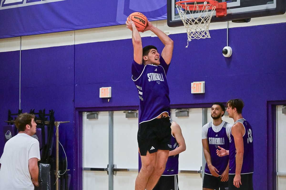 StonehillMBB's tweet image. Some new and familiar faces 🏡☀️
#GoHill | #NECMBB