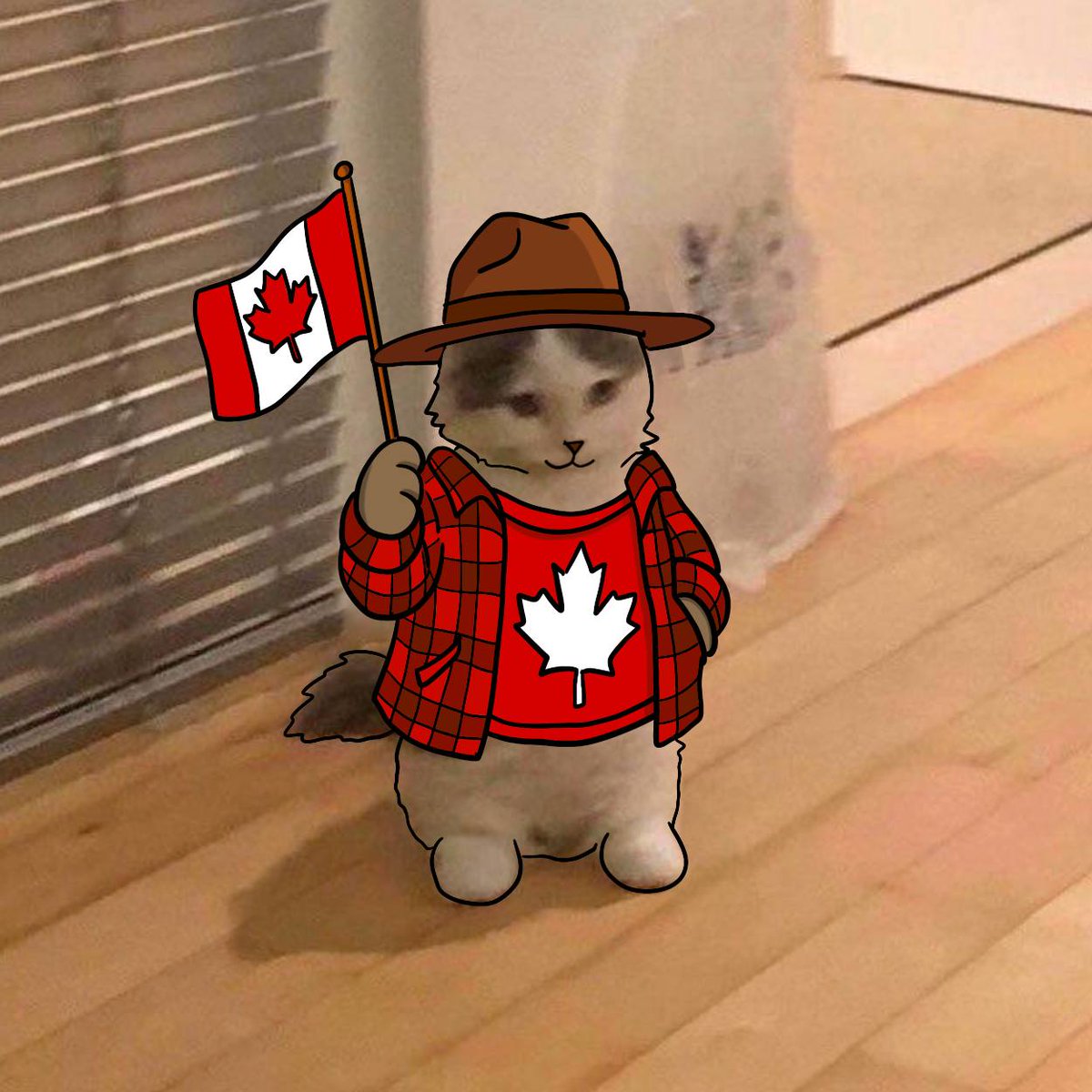 happy canada day!