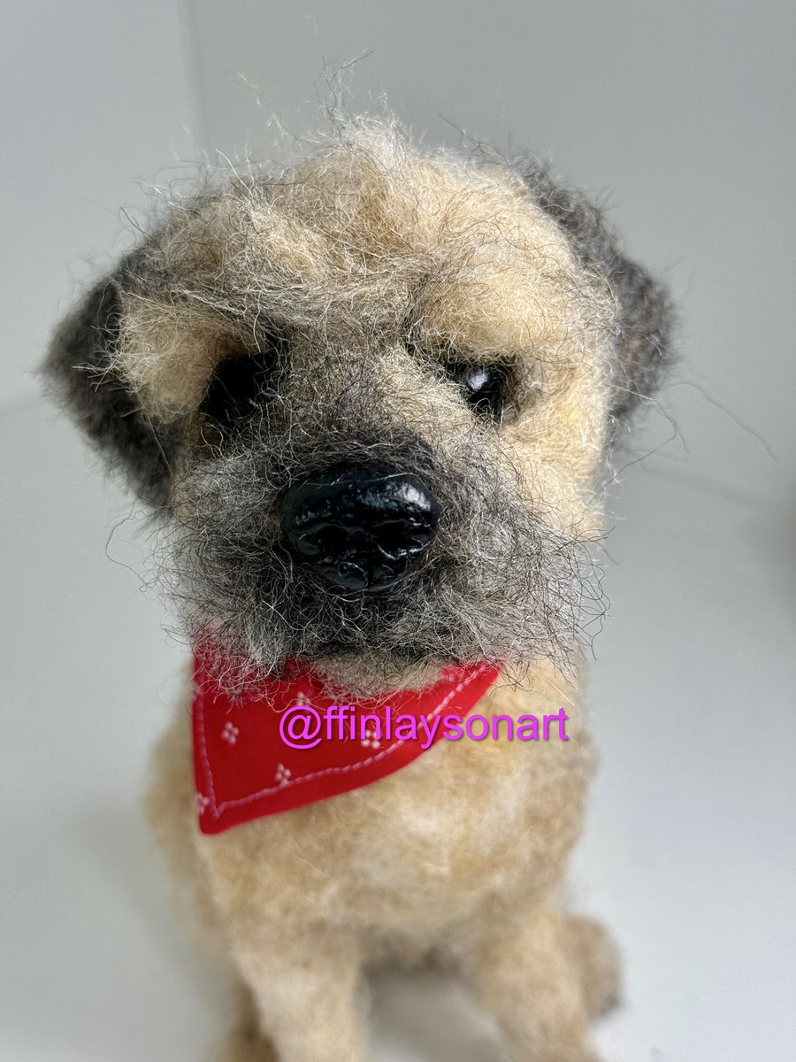 ffinlaysonart's tweet image. Can share this needle felted Border Terrier - looking dandy with his bandana!