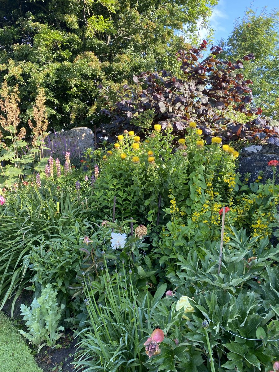 #Bees 🐝 are Buzzing today 😃Happy Days in the Highlands