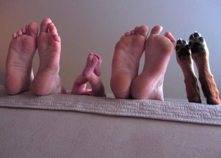 Family pic 👦🏻👩🏻👶🏻🐶…