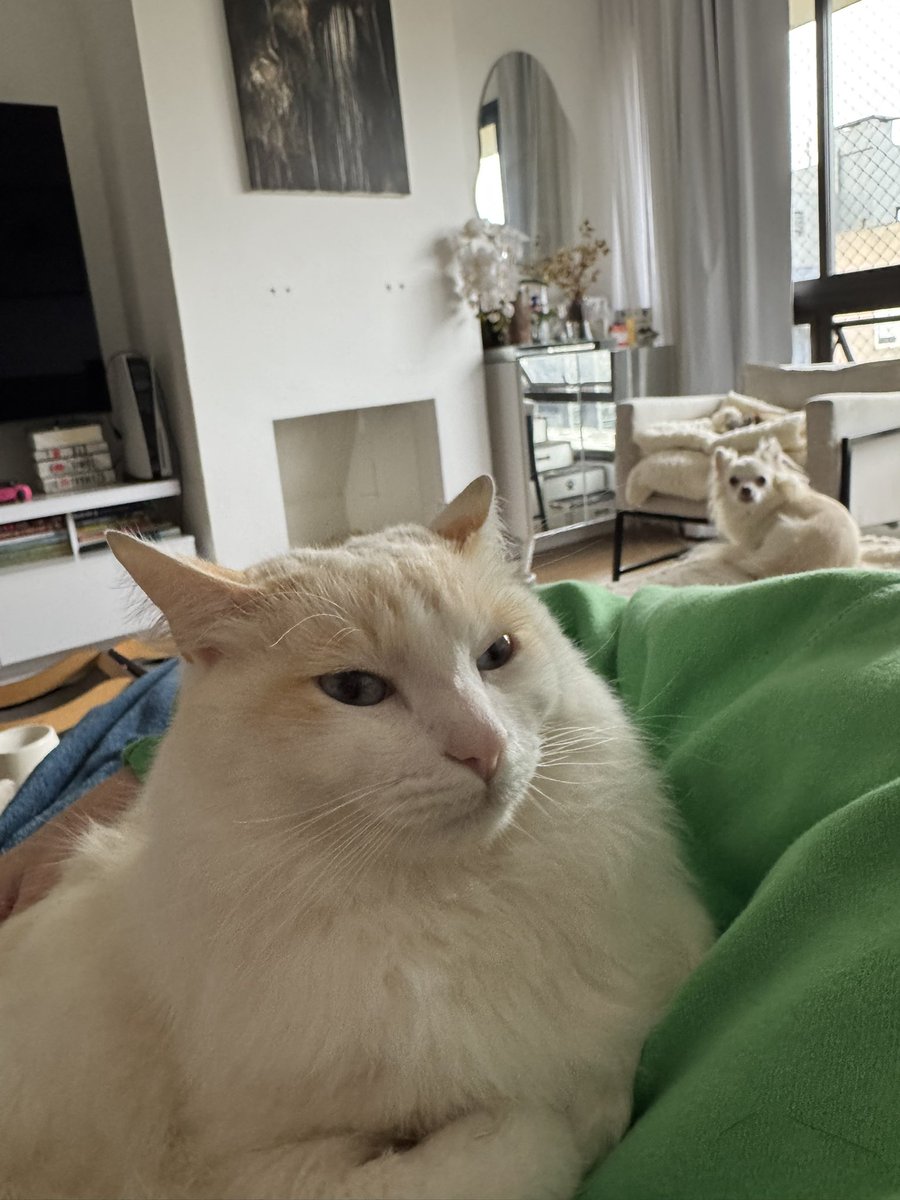 se remova ermÃo    .  este colo ME pertence. .!