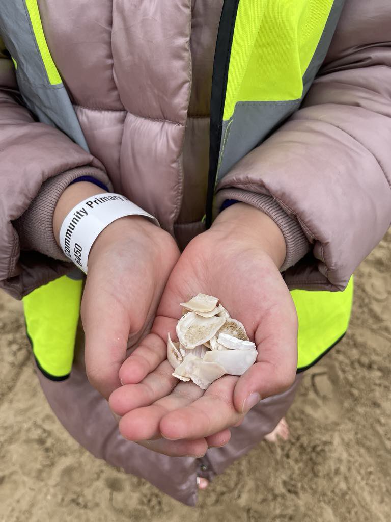 Freeholdc tweet media