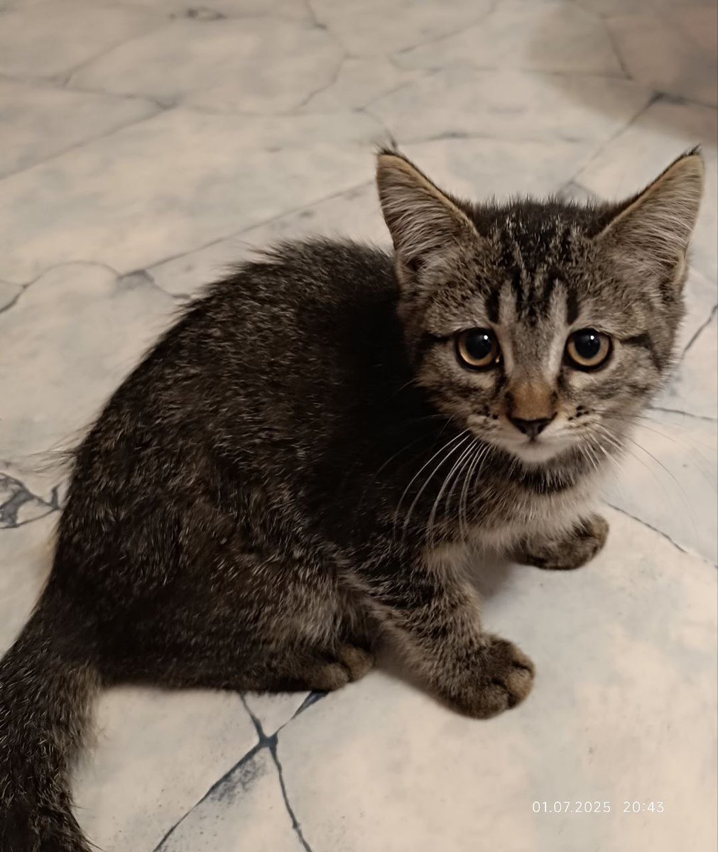 lely💫 tweet media