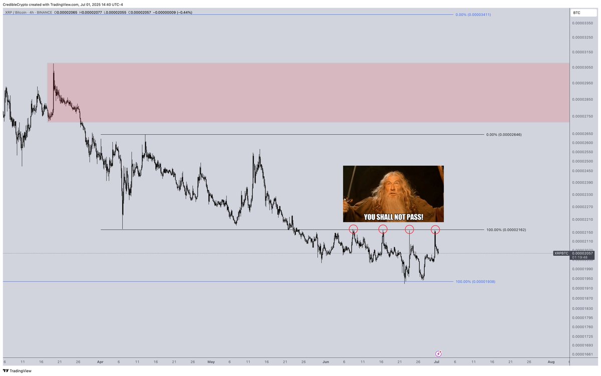 CrediBULL Crypto tweet media