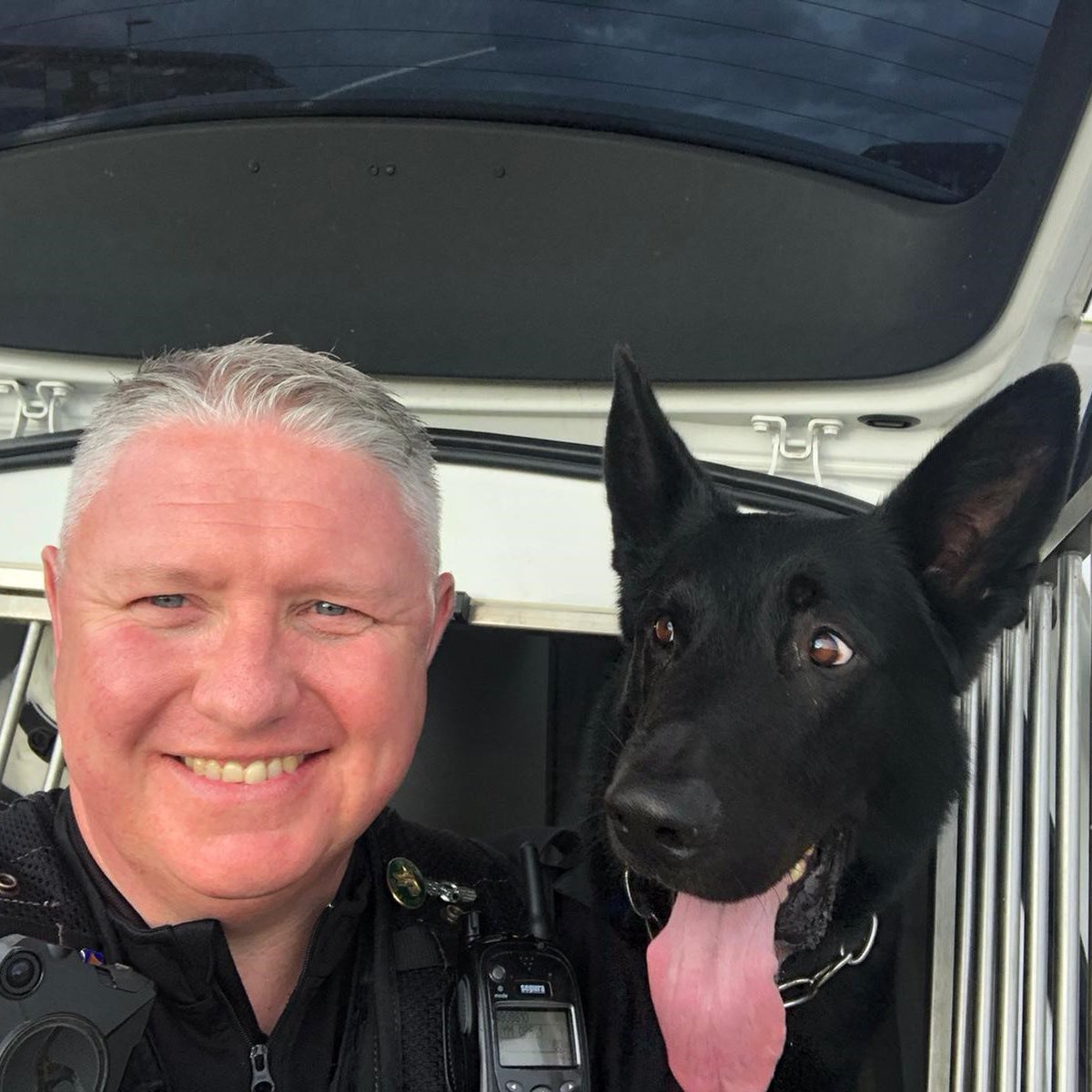 ThinBluePaw's tweet image. It is with deep sadness that we announce the passing of RPD Ellis, who served with West Midlands Police. We are honoured to share this tribute on behalf of PC Cotter, RPD Ellis&apos;s handler, who misses him dearly. Our thoughts are with PC Cotter and his family during this difficult…