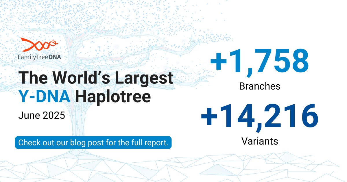 🧬 June 2025 might be our biggest Y-DNA update ever:
+1,758 branches
+14,216 variants

See which haplogroups grew the most in this record-breaking month. Your line might be on the move.

🔗 tinyurl.com/3xmu2zrz