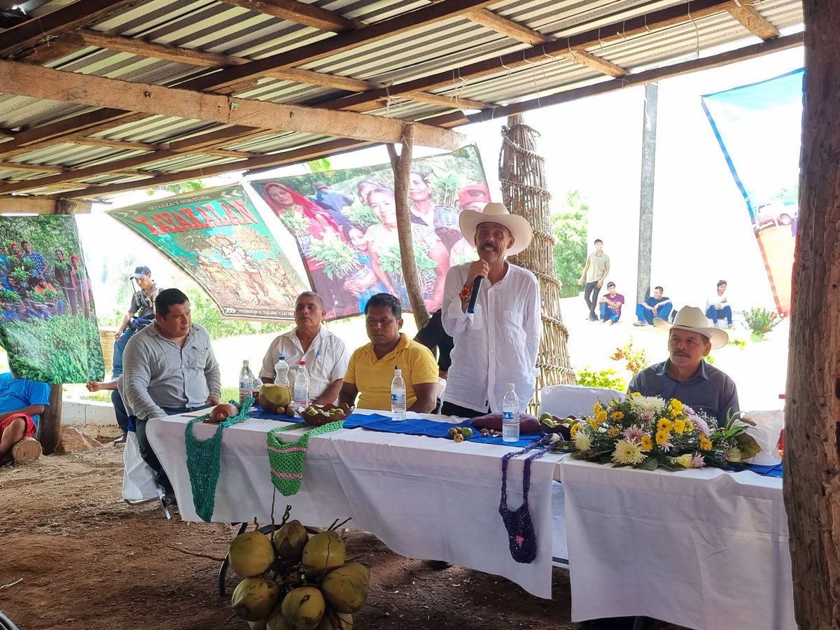 COstula's tweet image. Estamos muy contentas y contentos en la comunidad por seguir firmes en la defensa del territorio. Aquí el pronunciamiento que leyó nuestro Comisariado de Bienes Comunales el pasado 29 de junio:
facebook.com/share/v/16ZarT…
#OstulaVive #OstulaFlorece