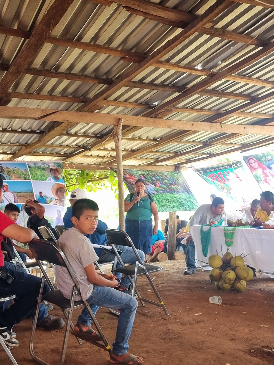 COstula's tweet image. Estamos muy contentas y contentos en la comunidad por seguir firmes en la defensa del territorio. Aquí el pronunciamiento que leyó nuestro Comisariado de Bienes Comunales el pasado 29 de junio:
facebook.com/share/v/16ZarT…
#OstulaVive #OstulaFlorece