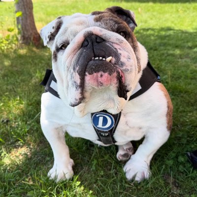 DrakeUGriff's tweet image. #NewProfilePic