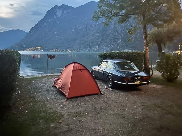 I found my nice sleeping spot tonight  👌  Good evening friends.  😉   🌒