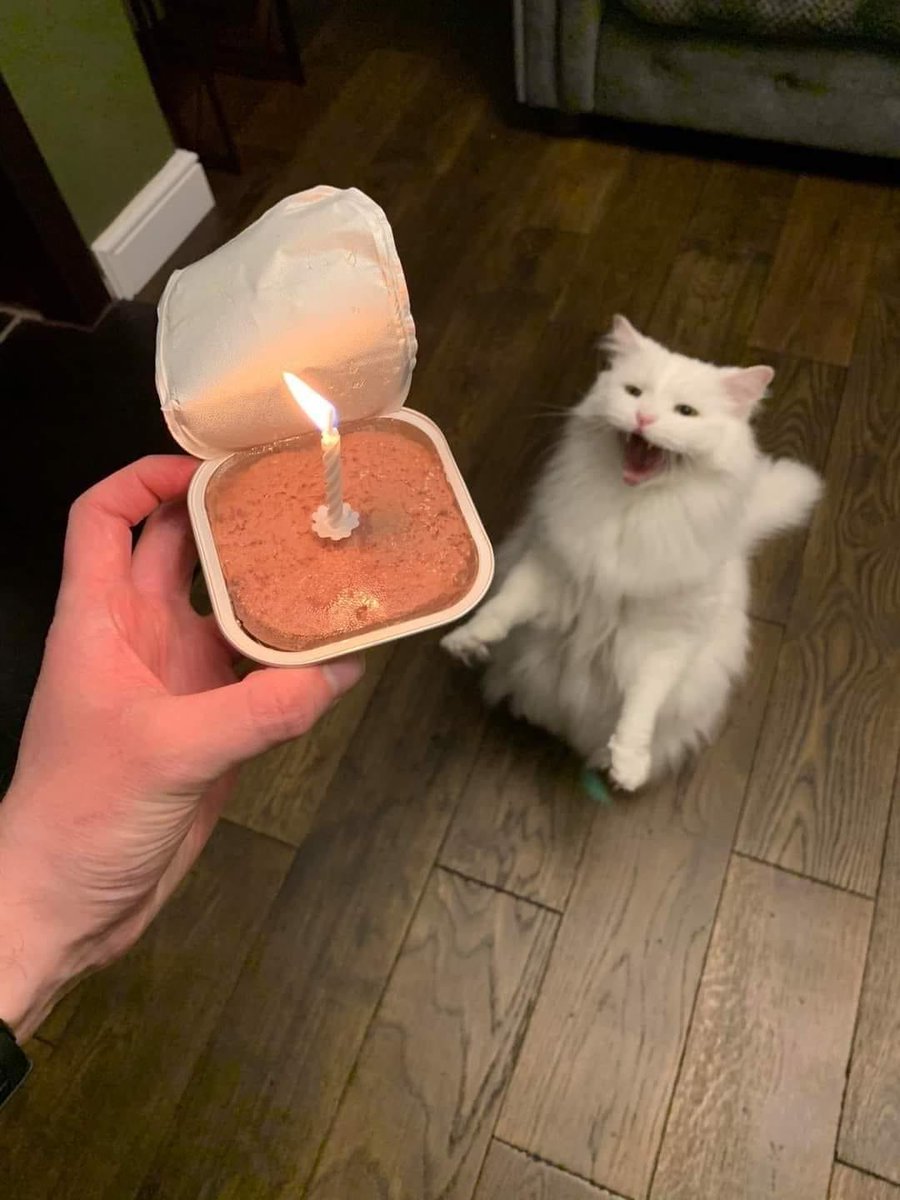 shaedeer's tweet image. birthday day for me because im number 1 (of july)